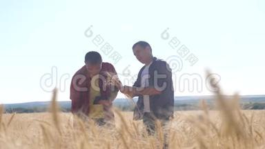 团队合作智能<strong>农业</strong>。 两个农民在一个麦田里工作。 农民探索正在研究。 <strong>数字</strong>平板小麦男子